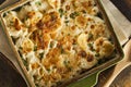 Homemade Cheesey Scalloped Potatoes Royalty Free Stock Photo