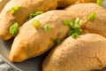 Homemade Cheesy Beef Cassava Empanadas Royalty Free Stock Photo