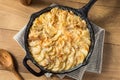 Homemade Cheesy Potatoes Gratin Royalty Free Stock Photo