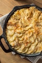 Homemade Cheesy Potatoes Gratin Royalty Free Stock Photo
