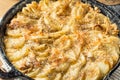 Homemade Cheesy Potatoes Gratin Royalty Free Stock Photo