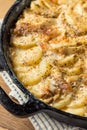 Homemade Cheesy Potatoes Gratin Royalty Free Stock Photo