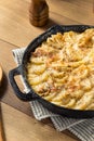 Homemade Cheesy Potatoes Gratin Royalty Free Stock Photo