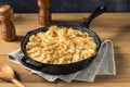 Homemade Cheesy Potatoes Gratin Royalty Free Stock Photo