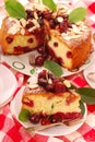 Homemade cherry cake with almonds Royalty Free Stock Photo