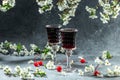 homemade cherry liqueur or wine, fresh berries and blossoms, Berry alcoholic drinks concept Royalty Free Stock Photo