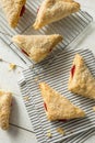 Homemade Cherry Turnover Pastries Royalty Free Stock Photo