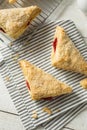 Homemade Cherry Turnover Pastries Royalty Free Stock Photo