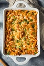 Homemade Chicago Baked Mostaccioli Royalty Free Stock Photo