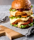 Homemade chicken burger with fried egg tomato lettuce cucumber dripping mozzarella on cutting board vertical orientation. Copy Royalty Free Stock Photo
