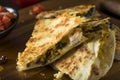 Homemade Chicken and Cheese Quesadilla Royalty Free Stock Photo