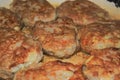 Homemade chicken cutlets Royalty Free Stock Photo