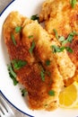 Homemade Chicken Cutlets on a Plate, top view. Flat lay, overhead, from above. Close-up