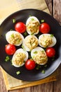 Homemade chicken eggs stuffed with canned tuna and avocado with Royalty Free Stock Photo