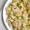 Homemade Chicken Fettuccine Alfredo in a plate on a white wooden table, top view. Flat lay, overhead, from above. Close-up Royalty Free Stock Photo