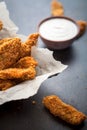 Homemade chicken fingers Royalty Free Stock Photo