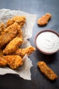 Homemade chicken fingers Royalty Free Stock Photo