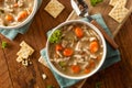 Homemade Chicken Noodle Soup Royalty Free Stock Photo