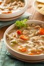 Homemade Chicken Noodle Soup Royalty Free Stock Photo