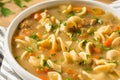 Homemade Chicken Noodle Soup Royalty Free Stock Photo