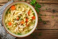 Homemade chicken noodle soup with vegetables and spices in a bowl. Healthy food concept Royalty Free Stock Photo