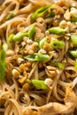 Homemade Chicken Pad Thai Royalty Free Stock Photo