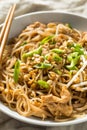 Homemade Chicken Pad Thai Royalty Free Stock Photo