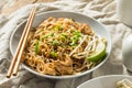 Homemade Chicken Pad Thai Royalty Free Stock Photo