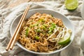 Homemade Chicken Pad Thai Royalty Free Stock Photo