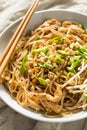 Homemade Chicken Pad Thai Royalty Free Stock Photo