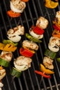 Homemade Chicken Shish Kabobs Royalty Free Stock Photo