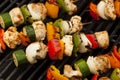 Homemade Chicken Shish Kabobs Royalty Free Stock Photo