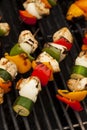 Homemade Chicken Shish Kabobs Royalty Free Stock Photo