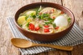 Homemade chicken soup with noodles, potatoes, boiled egg and herbs close-up in a plate. horizontal Royalty Free Stock Photo