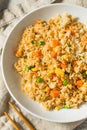 Homemade Chinese Asian Fried Rice Royalty Free Stock Photo