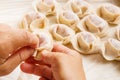 Homemade Chinese dumplings