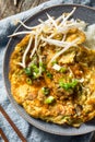 Homemade Chinese Egg Foo Yung Omelette Royalty Free Stock Photo