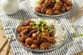 Homemade Chinese General Tsos Chicken Royalty Free Stock Photo