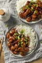 Homemade Chinese General Tsos Chicken Royalty Free Stock Photo