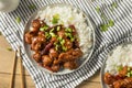 Homemade Chinese General Tsos Chicken Royalty Free Stock Photo