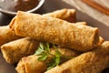 Homemade Chinese Vegetable EggRolls Royalty Free Stock Photo