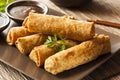 Homemade Chinese Vegetable EggRolls Royalty Free Stock Photo