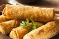 Homemade Chinese Vegetable EggRolls Royalty Free Stock Photo