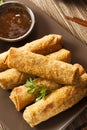 Homemade Chinese Vegetable EggRolls Royalty Free Stock Photo