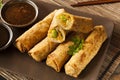 Homemade Chinese Vegetable EggRolls Royalty Free Stock Photo