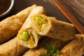 Homemade Chinese Vegetable EggRolls Royalty Free Stock Photo