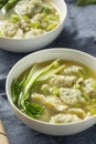 Homemade Chinese Wonton Soup