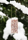 Homemade chocolate bar shaped peanuts cake, bird feeder, hanging on a fir branch in the winter garden. Royalty Free Stock Photo