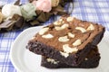 Homemade chocolate brownie