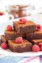 Homemade chocolate brownies Royalty Free Stock Photo